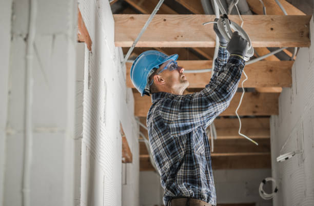 Best Electrical Upgrades for Homes  in La Homa, TX