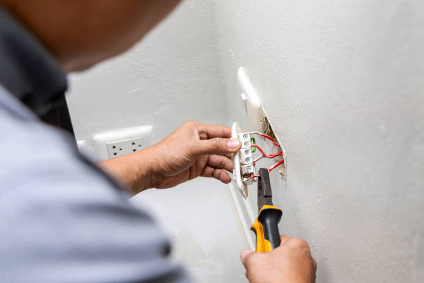 Best Circuit Breaker Repair  in La Homa, TX